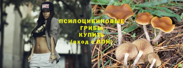гидра Беломорск